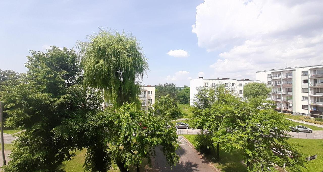 Bursztynowy Apartament Тарновске Гори Екстериор снимка