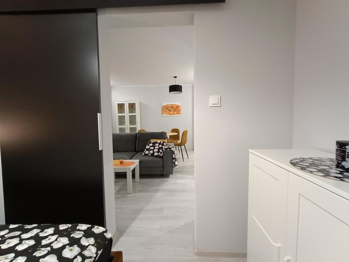 Bursztynowy Apartament Тарновске Гори Екстериор снимка