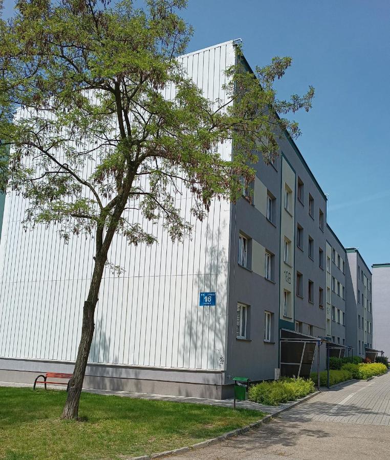 Bursztynowy Apartament Тарновске Гори Екстериор снимка